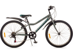 FAVORIT SIRIUS-24VS, SIR24V12GR
