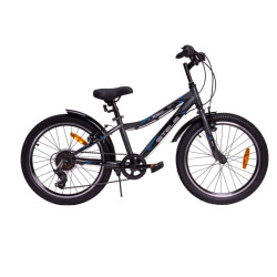 Stels Pilot-230 V 20"