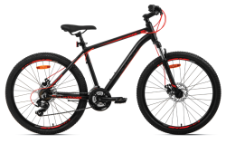 AIST ROCKY 1.0 DISC